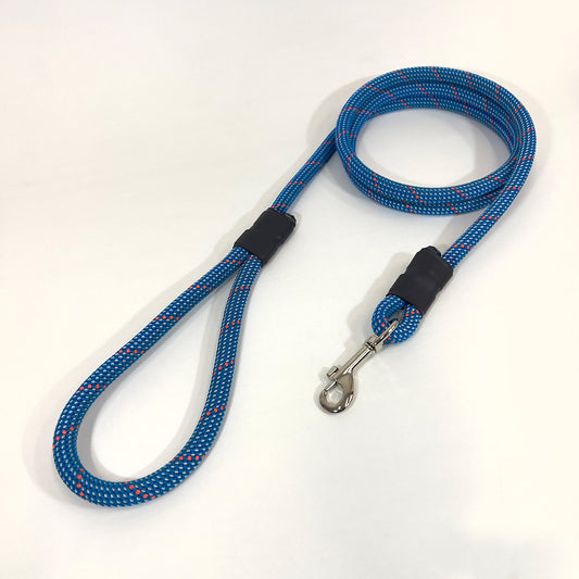 Blue leash