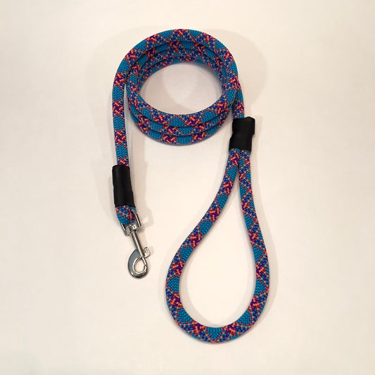 Blue and Red Leash