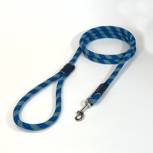 Bluebriar leash